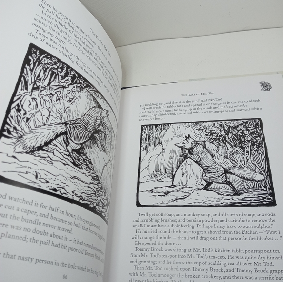 The Complete Adventures of Peter Rabbit by Beatrix Potter. Petter Rabbit Book. - Picture 11 of 14